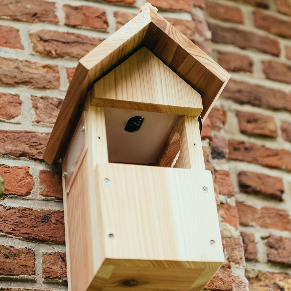 WiFi Bird House Camera System
