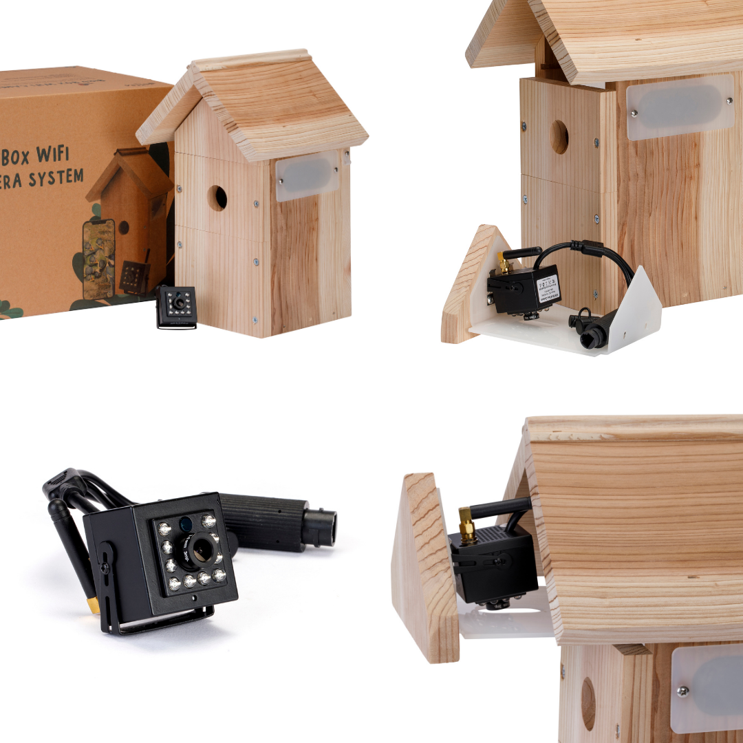WiFi Bird House Camera System