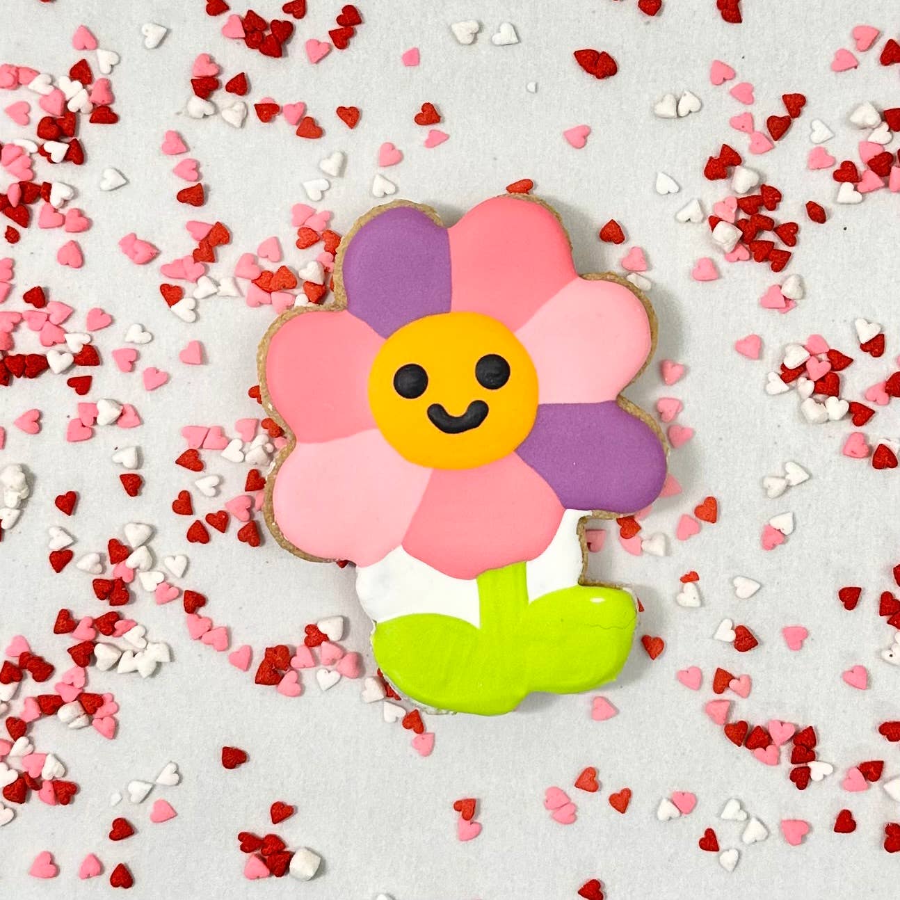 Colorburst Spring Bloom Collection