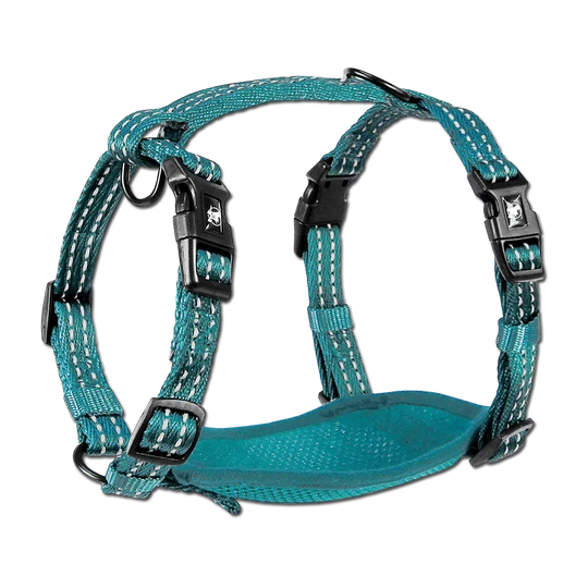 Alcott Adventures Dog Harness Large Blue