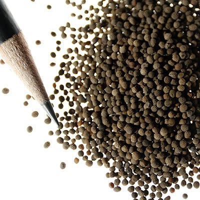 CALIFORNIA POPPY seed .5 lb