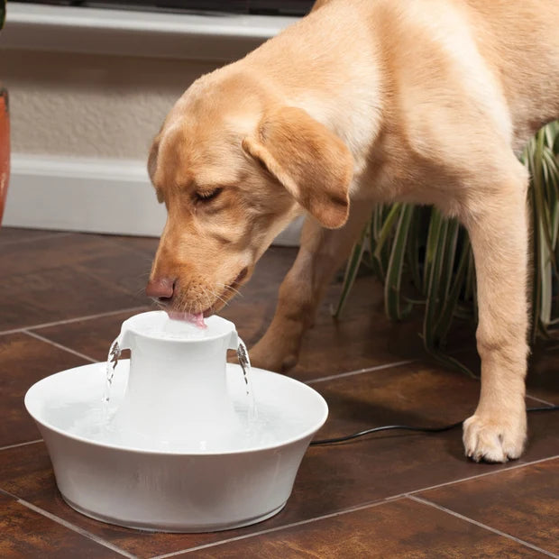PetSafe Drinkwell Avalon Ceramic Dog & Cat Water Fountain 70oz