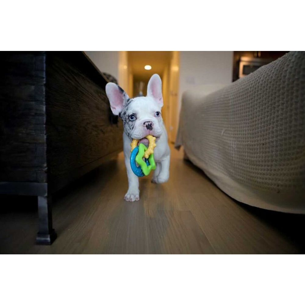 Nylabone Puppy Power Chew Teething Toy Rings