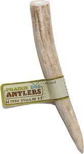 PDA Deer Antler Regular    4-5