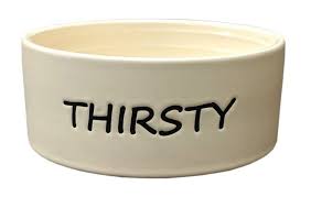 ETH BOWL CT THIRSTY 6IN