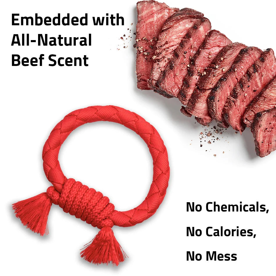 Playology Dri-Tech Ring Beef Scented Dog Toy Large