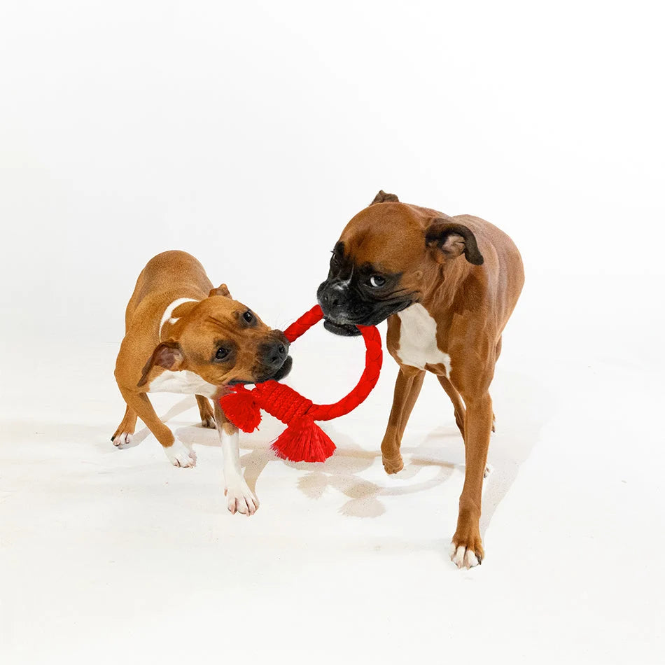 Playology Dri-Tech Ring Beef Scented Dog Toy Large
