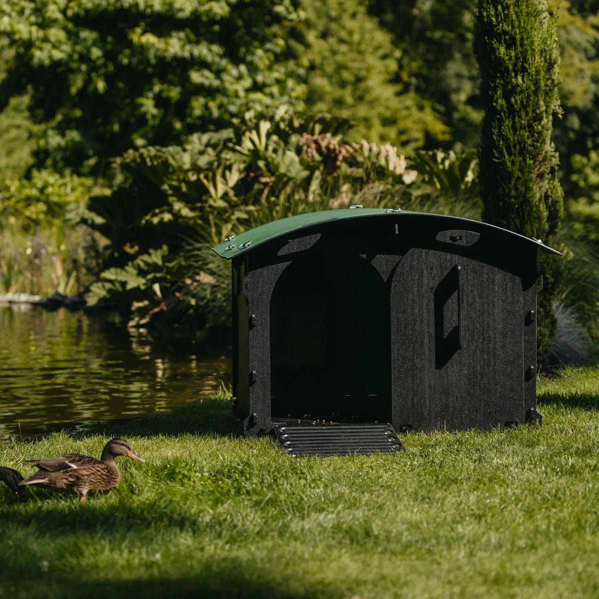 Duck House