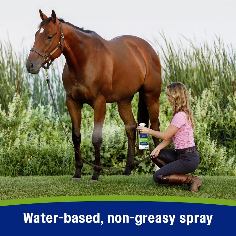 Farnam Equisect Fly Repellent with Essential Oils for Horses & Dogs 32oz
