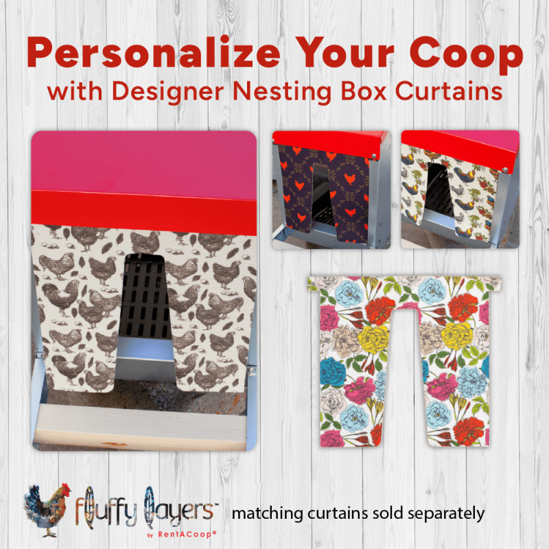 RentACoop Roll-Out Reversible Nesting Box Efficiency
