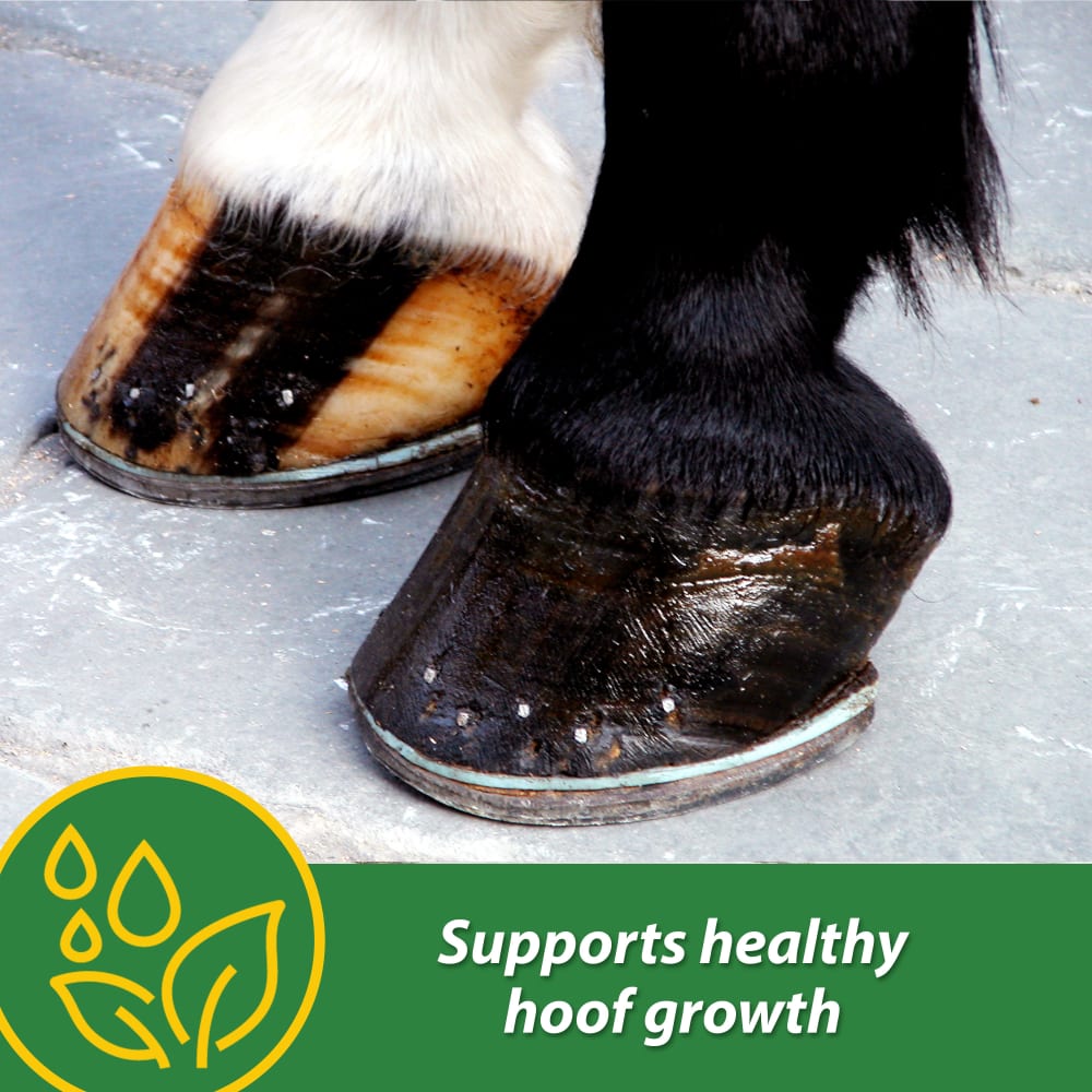 Farnam H.B. 15 Hoof Supplement for Horses 7lb