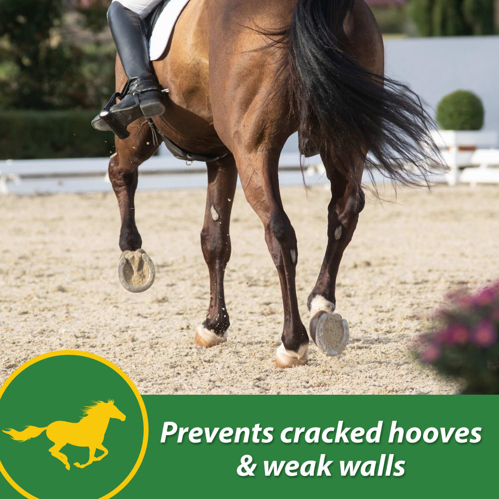 Farnam H.B. 15 Hoof Supplement for Horses 7lb
