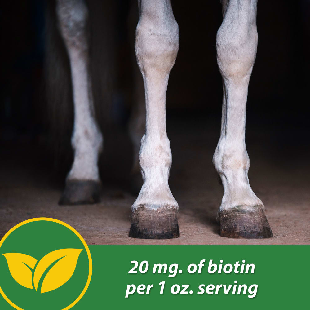 Farnam H.B. 15 Hoof Supplement for Horses 7lb