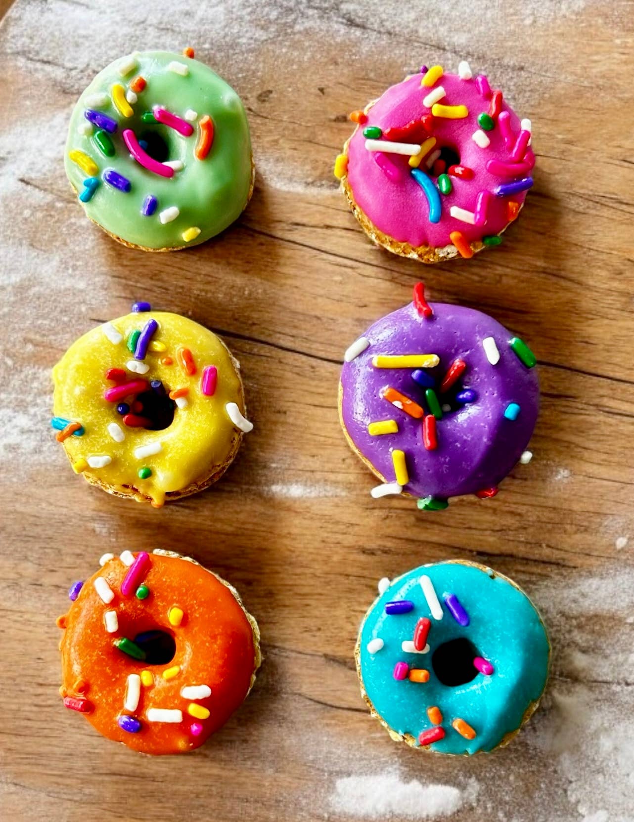 Mini 🍩 donut dog treats