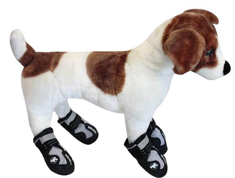 Alcott Explorer Adventure Dog Boots Large