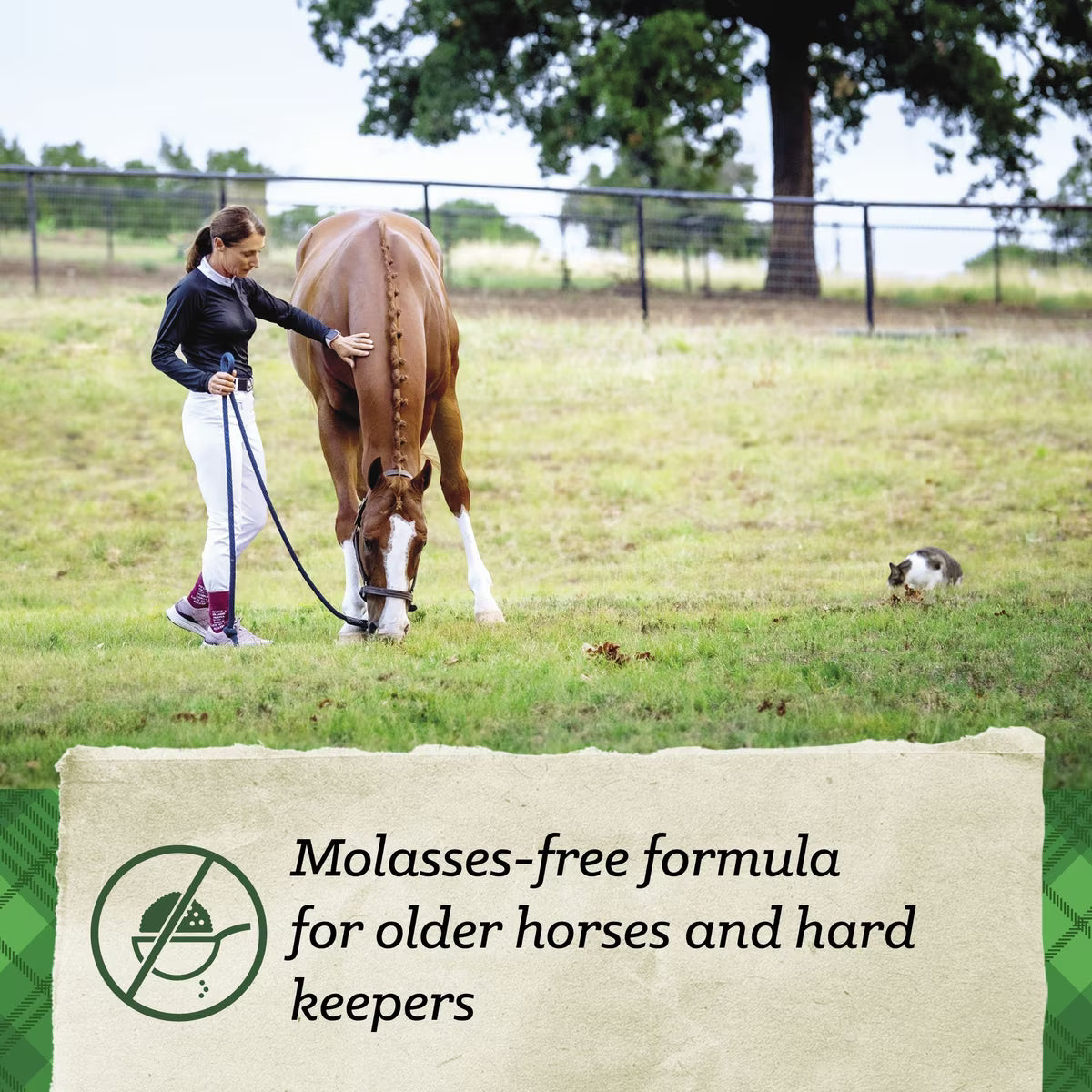 Nutrena SafeChoice Senior Molasses Free Horse Feed 50lb