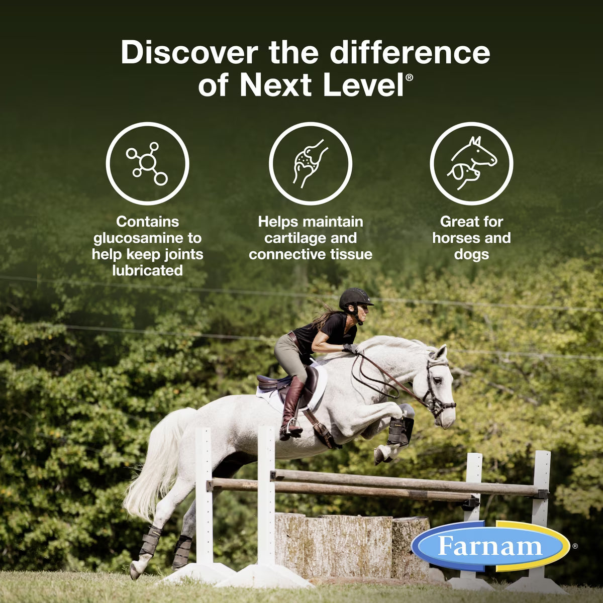 Farnam Next Level Joint Fluid Supplement for Horses & Dogs 32oz
