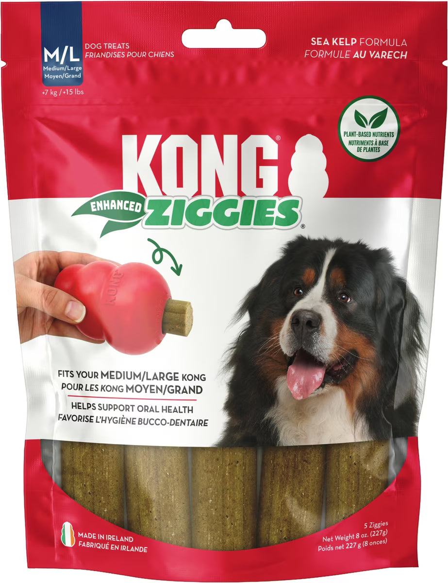 Kong Enhanced Ziggies Plant Based Dog Chew Large 5ct
