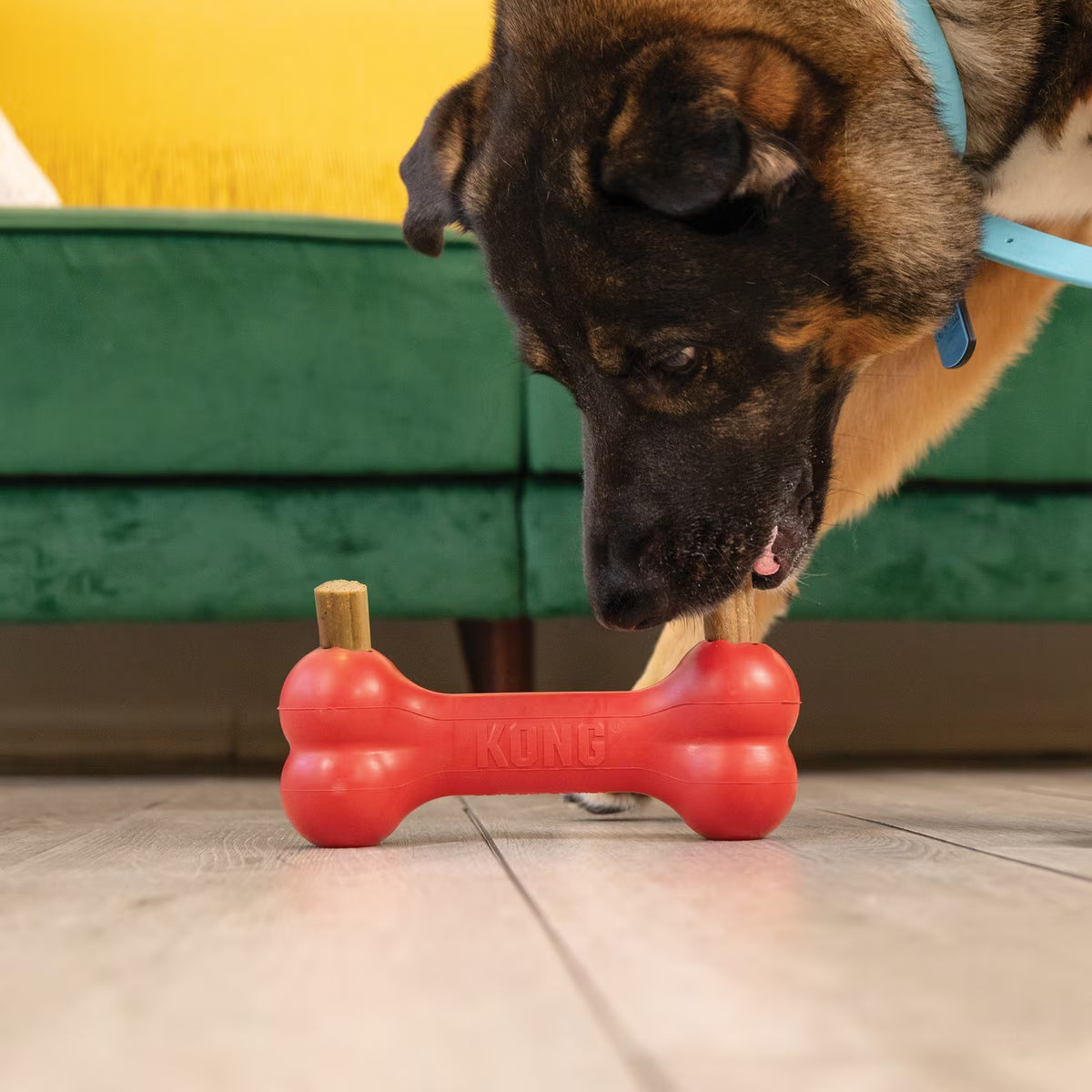 Kong Enhanced Ziggies Plant Based Dog Chew Large 5ct