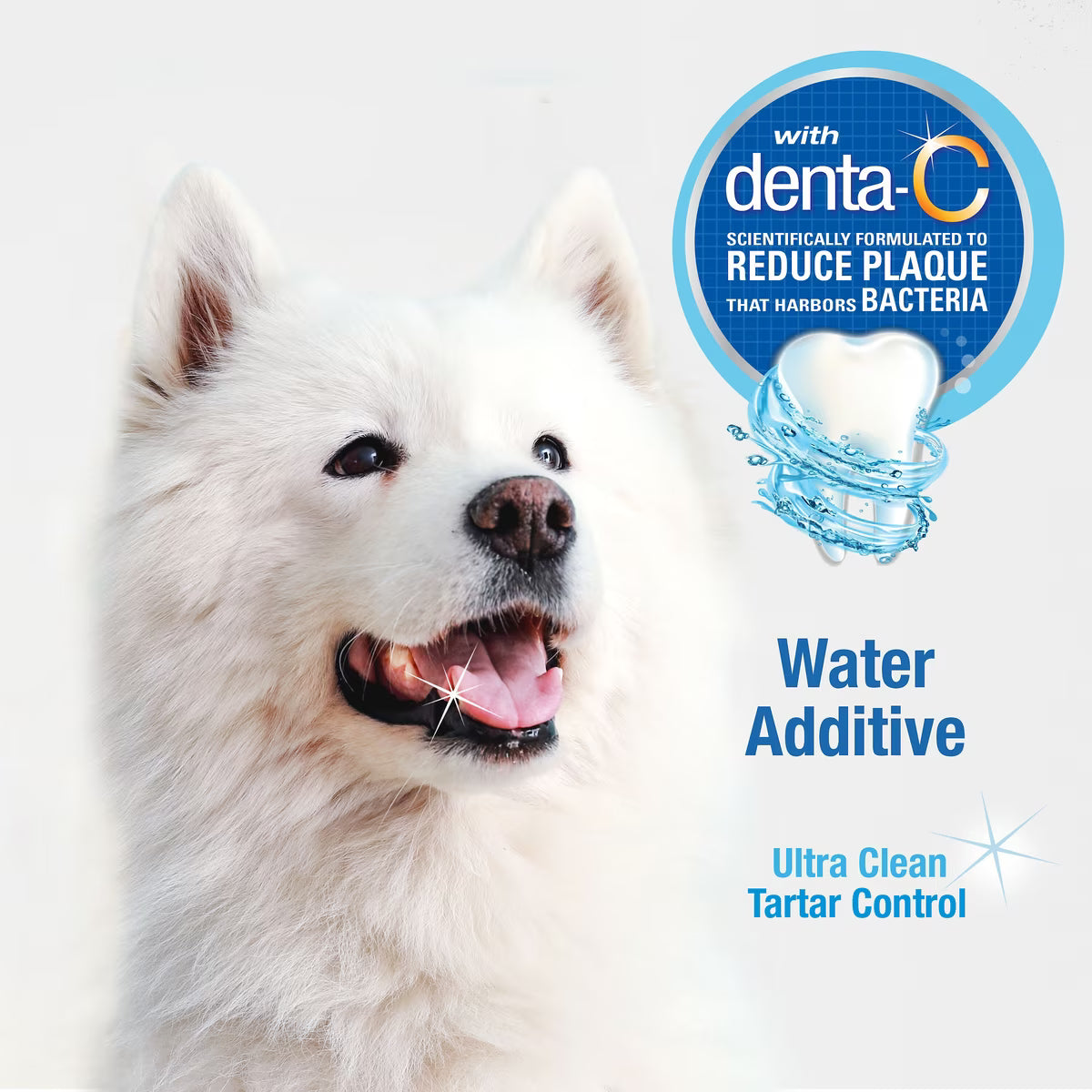 Nylabone Advanced Oral Care Water Additive for Dogs 16oz
