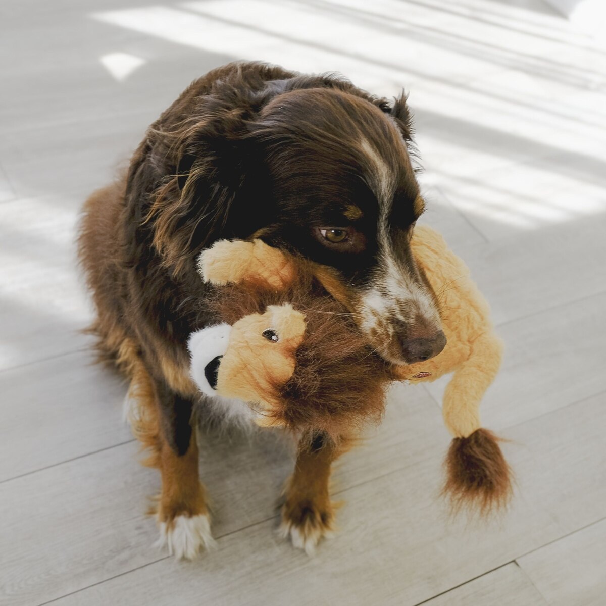 Kong Scampers Lion Squeaky Plush Dog Toy Medium