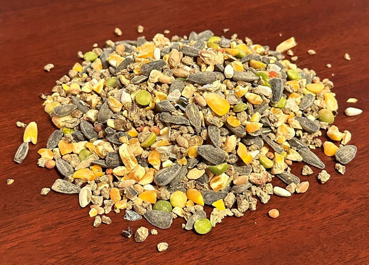 NONGMO LAYER CRUM 16% 10lb