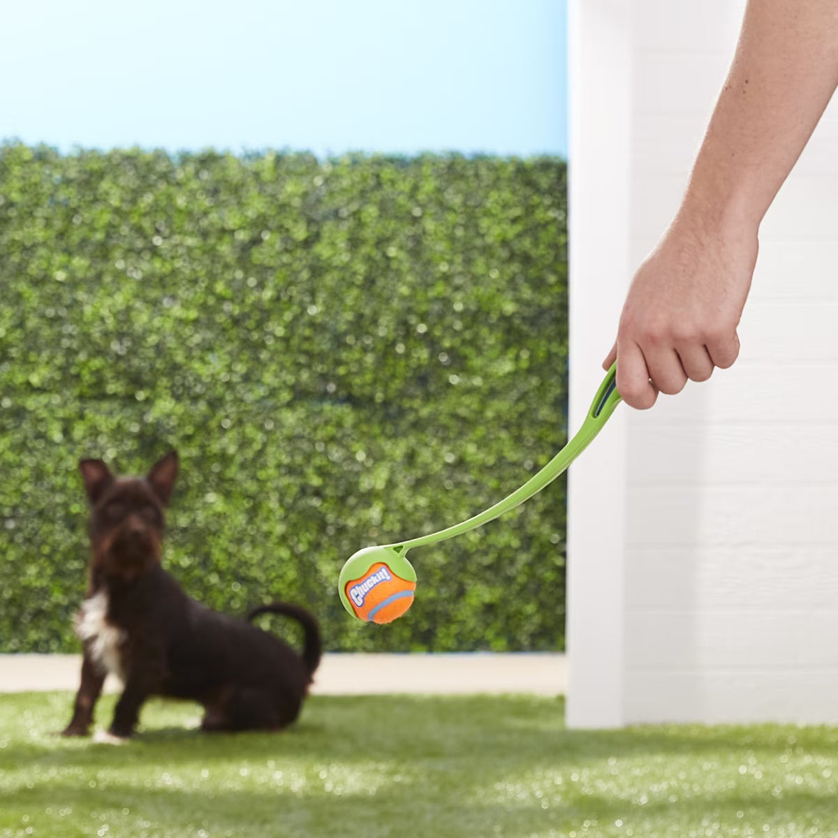 CHUCKIT MINI BALL LAUNCHER