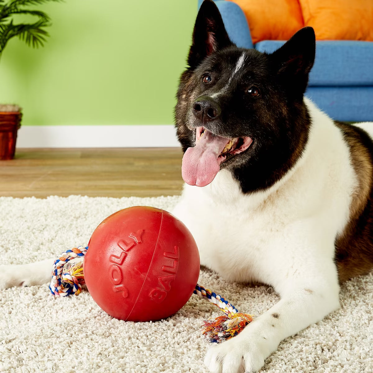 Jolly Pets Romp-n-Roll Rope and Ball Dog Toy 8in