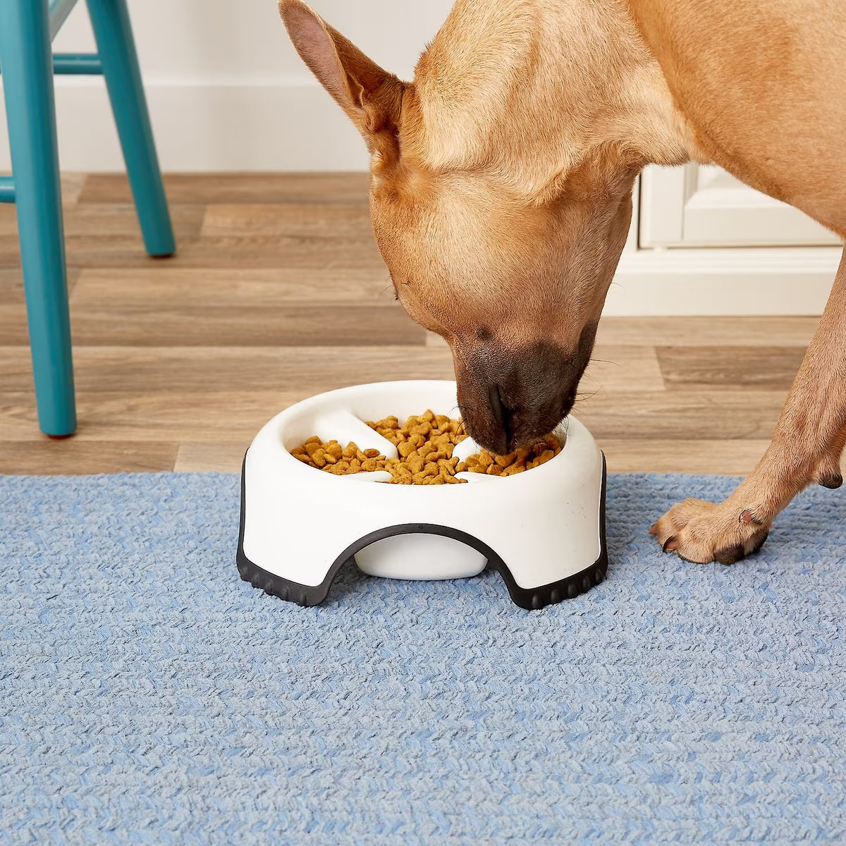 JW Pet Skid Stop Plastic Slow Feeder 3cups