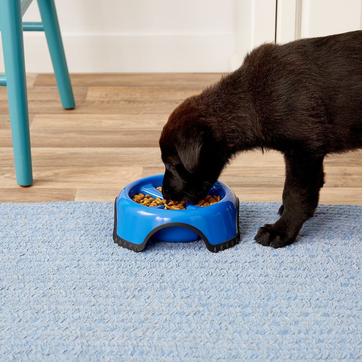 JW Pet Skid Stop Plastic Slow Feeder 1cup