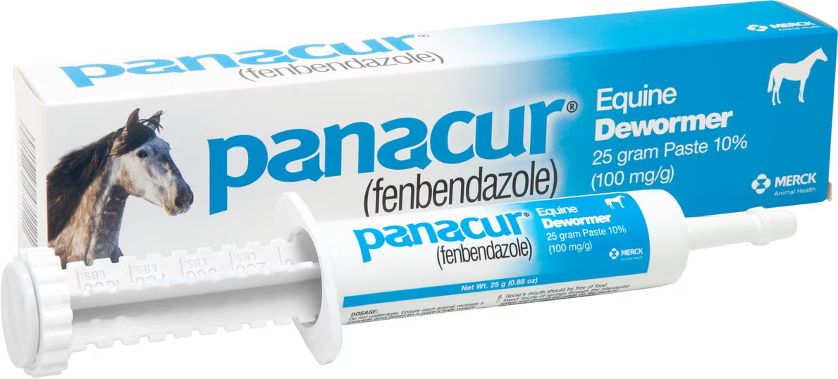 Panacur Fenbendazole 10% Dewormer Paste for Horses 25-gm