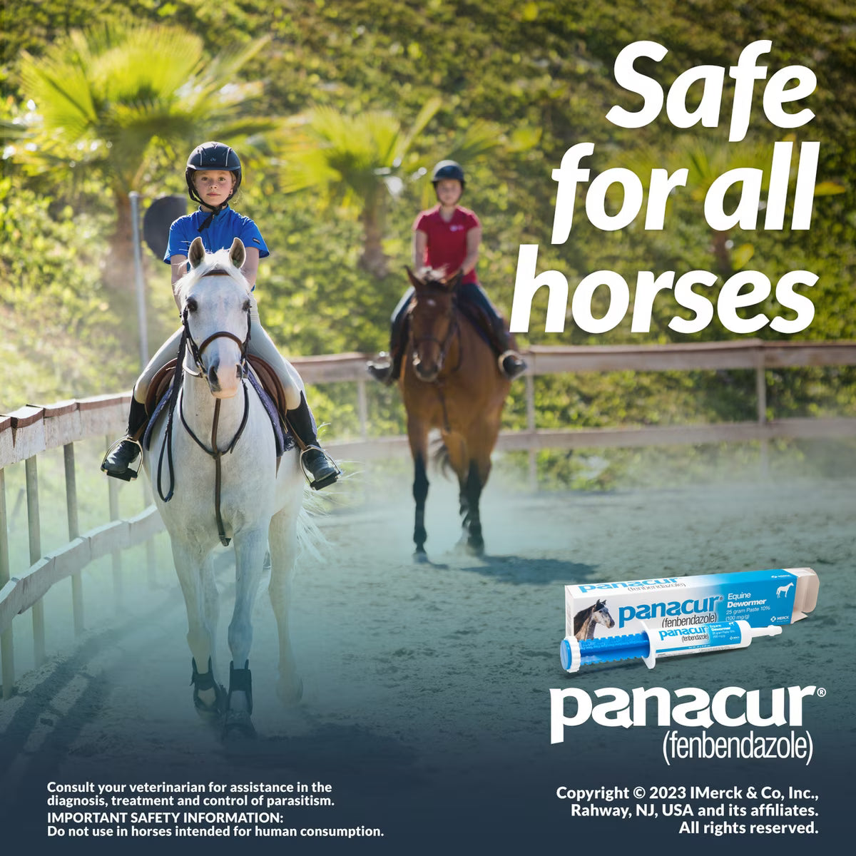 Panacur Fenbendazole 10% Dewormer Paste for Horses 25-gm
