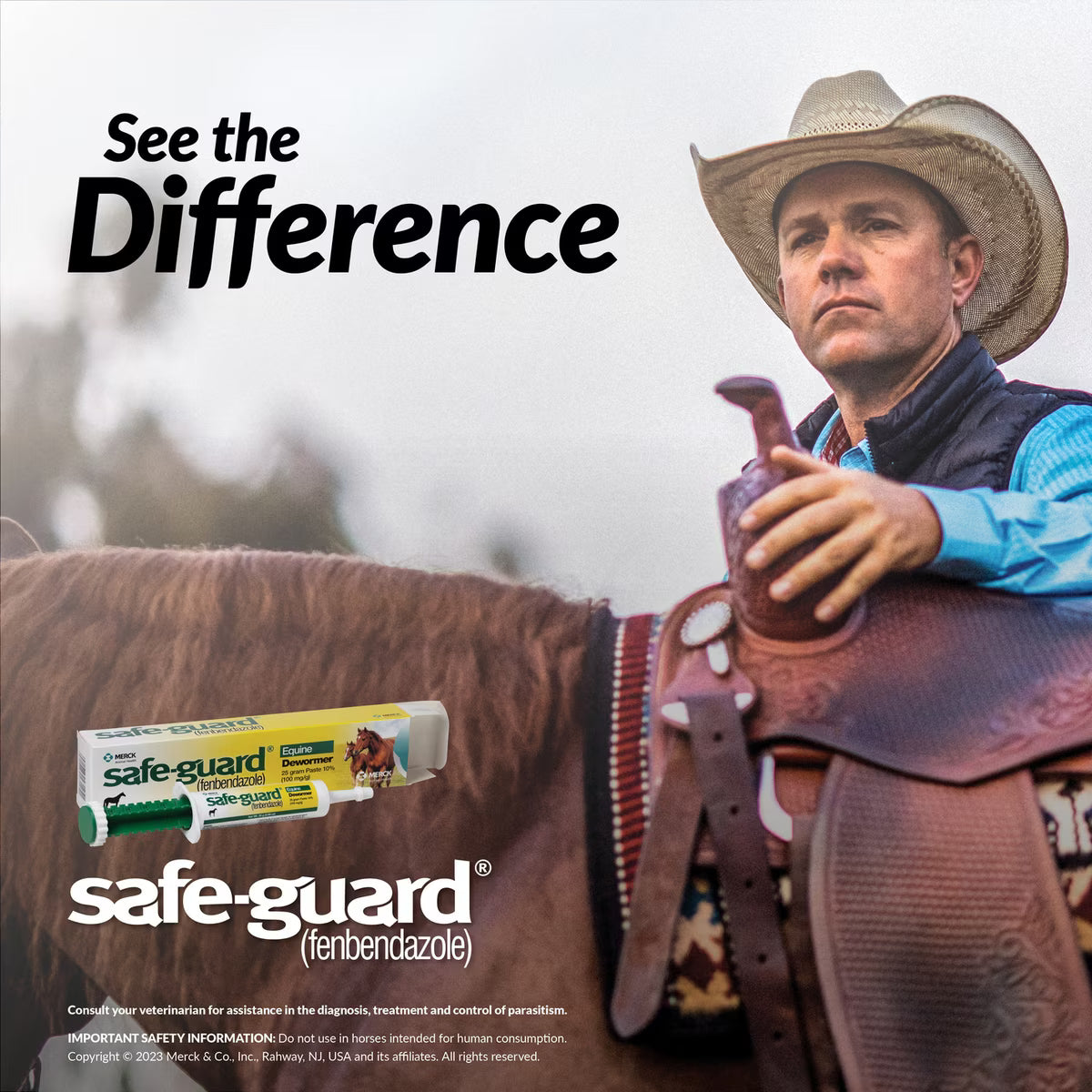Safe-Guard Fenbendazole 10% Dewormer Paste for Horses 25-gm