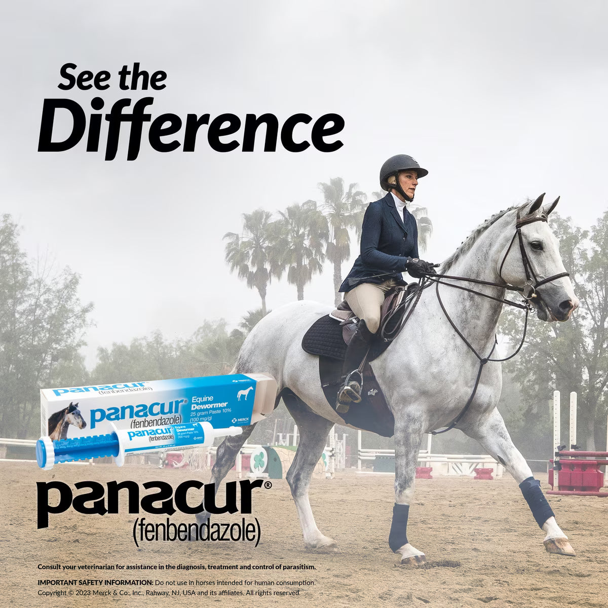 Panacur Fenbendazole 10% Dewormer Paste for Horses 25-gm