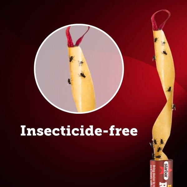 Starbar Lure Ribbon Insecticide Free Fly Trap 1ct
