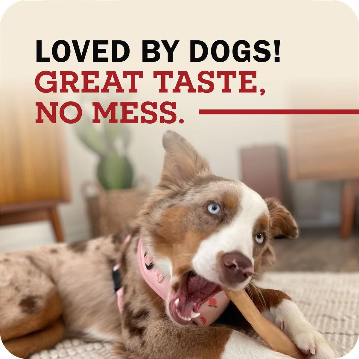 Redbarn Collagen Stick Dog Chew Large