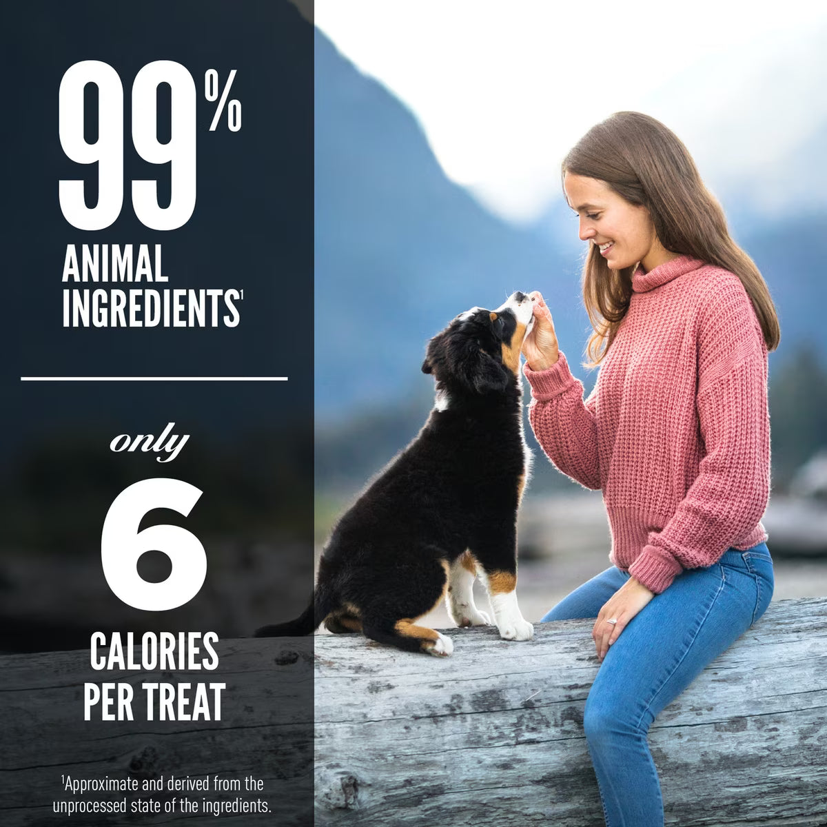 Orijen Grain-Free Free-Run Duck Freeze-Dried Dog Treats 3.25oz
