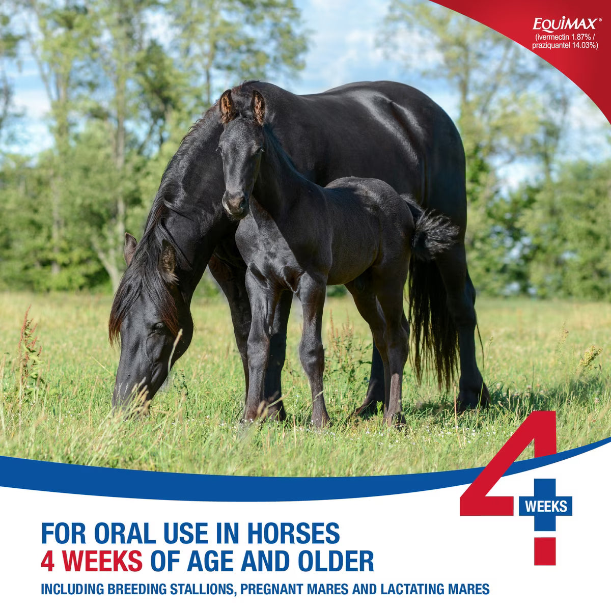 Bimeda Equimax Ivermectin & Praziquantel Dewormer Paste for Horses 6.42-gm