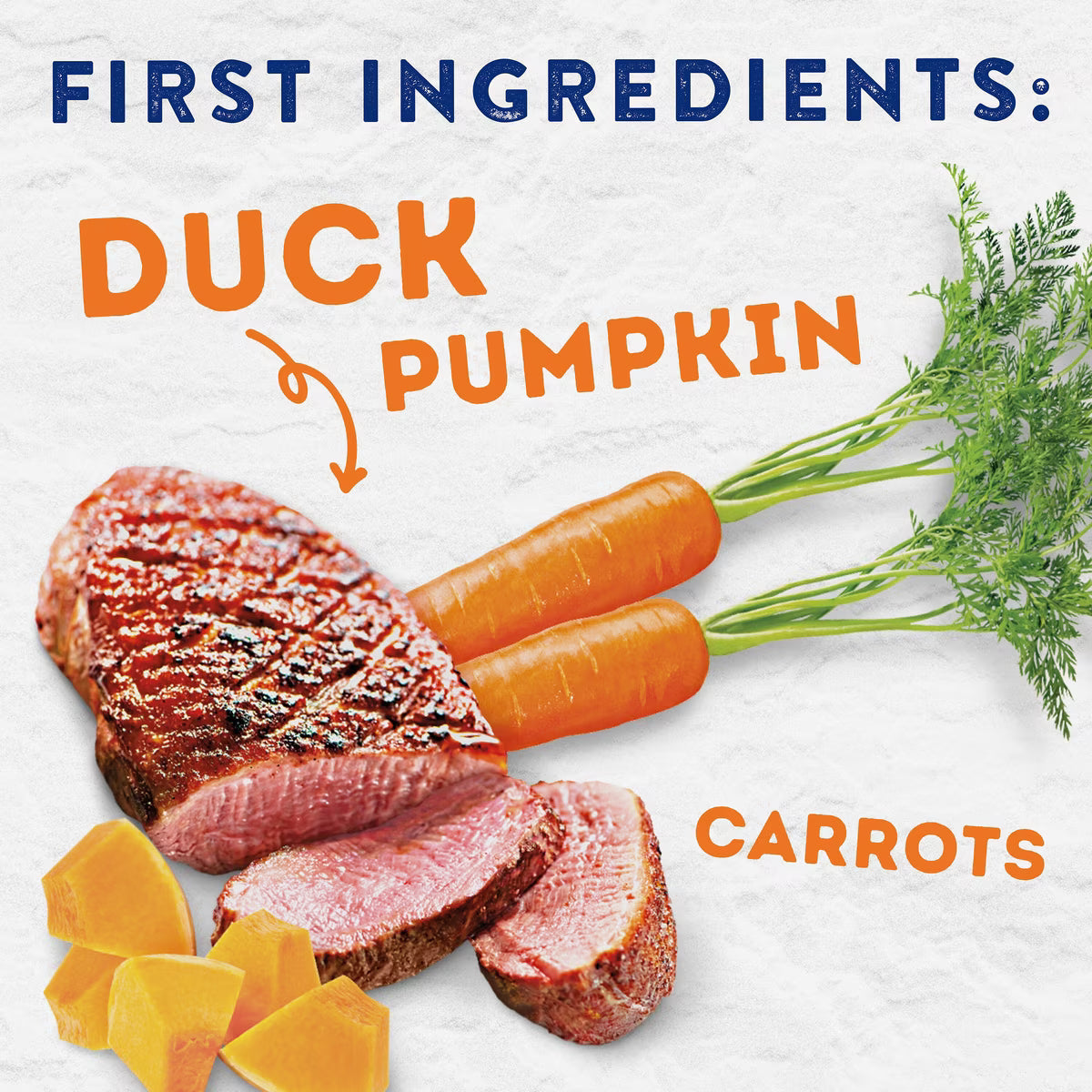 Natural Balance Platefulls Duck and Pumpkin 9oz