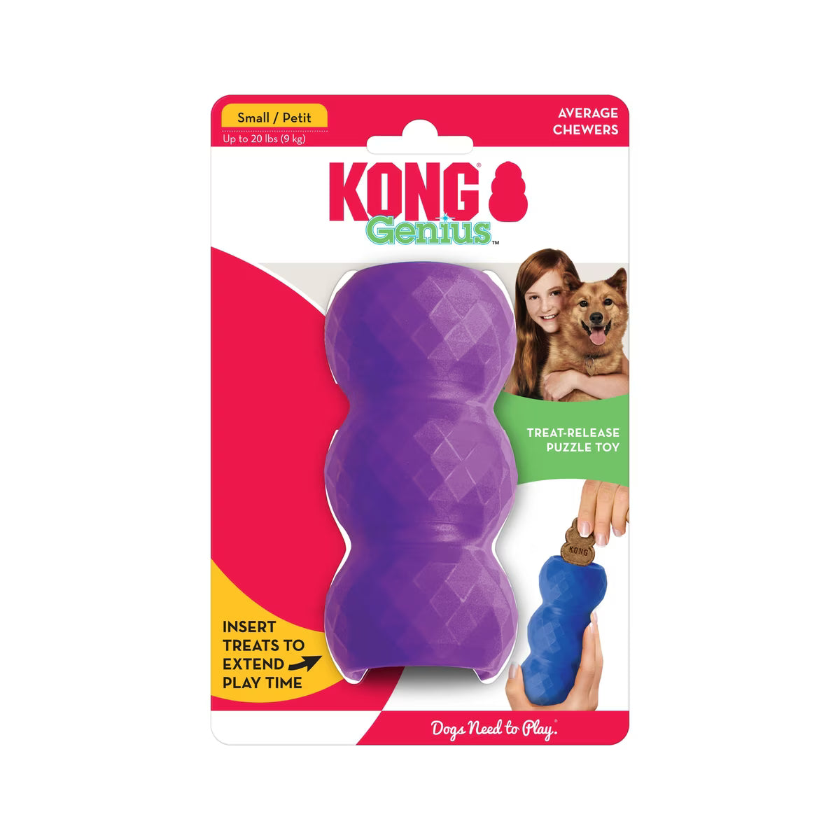 KONG Genius Mike ASST Colors S
