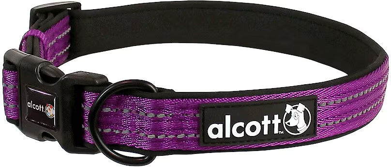 Alcott Adventures Reflective Adjustable Dog Collar Purple Large