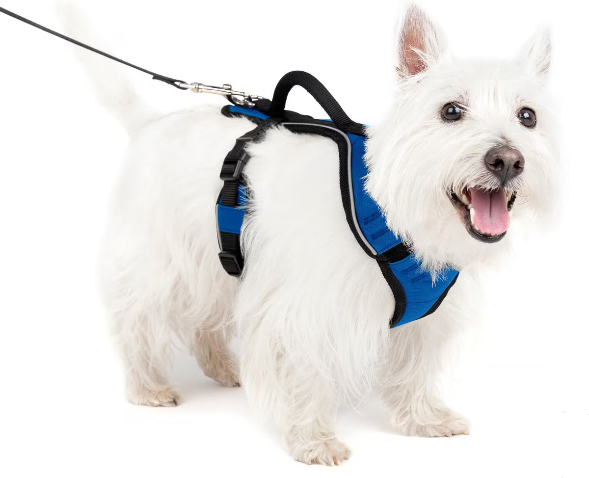PetSafe EasySport Dog Harness Blue Small