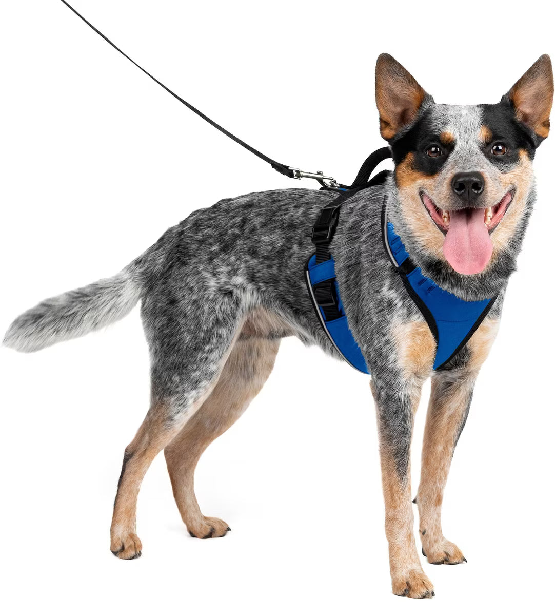 PetSafe EasySport Dog Harness Blue Medium