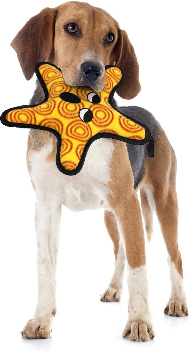 Tuffy's Ocean Creatures General The Starfish Durable Dog Toy