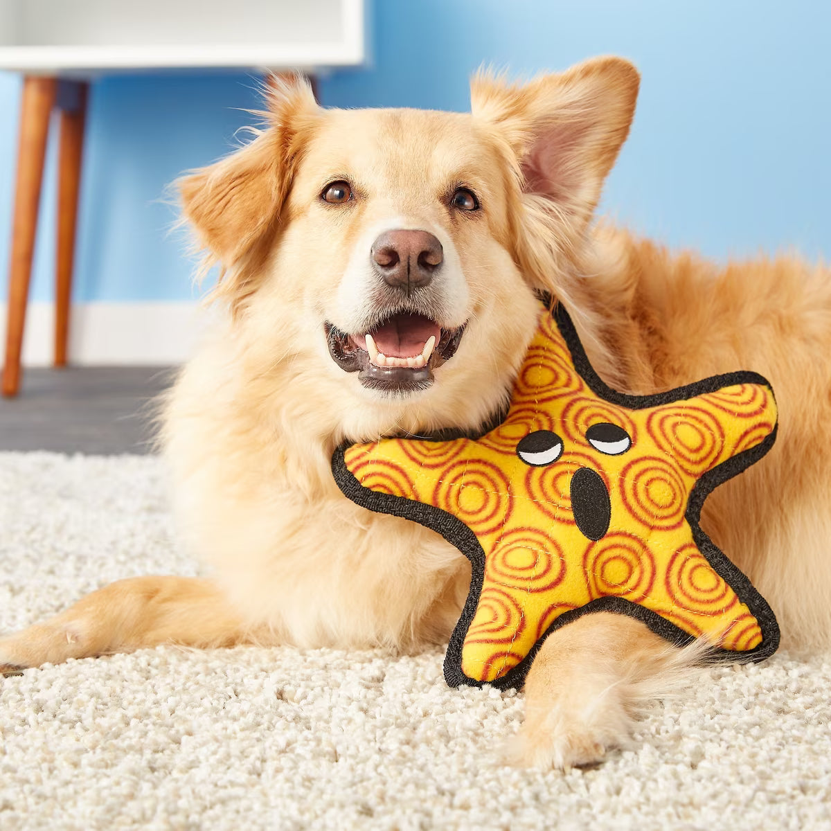 Tuffy's Ocean Creatures General The Starfish Durable Dog Toy