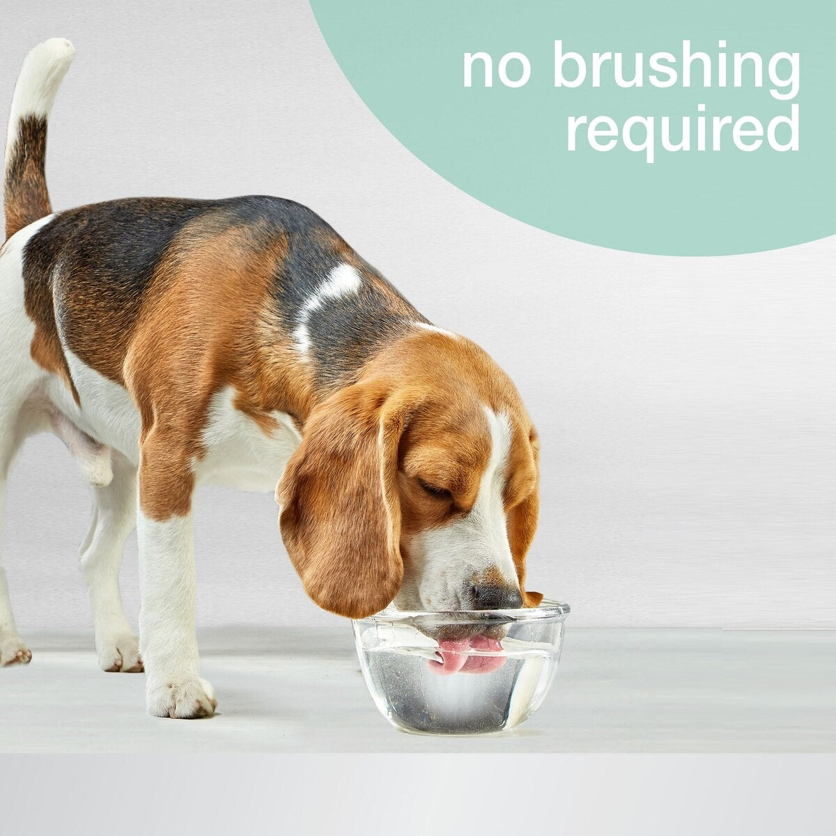 Nylabone Advanced Oral Care Water Additive Breath Freshener 16oz