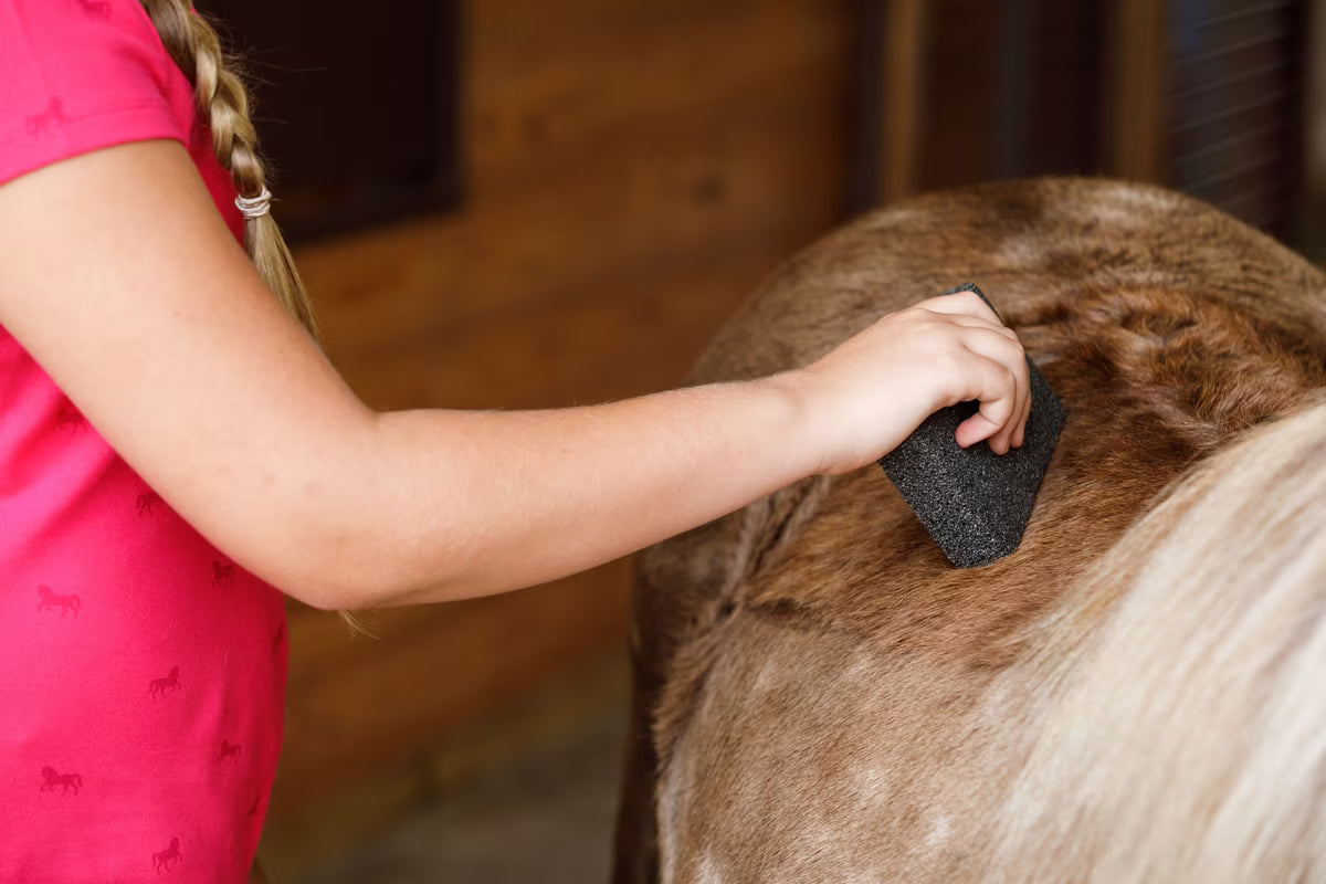 Farnam Slick'N Easy Horse Grooming Block