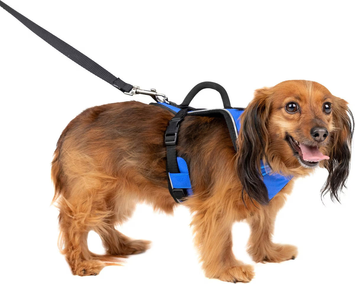 PetSafe EasySport Dog Harness Blue XS
