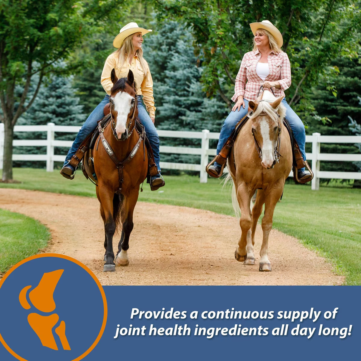 Farnam MaxFlex XR Extended Release Horse Joint Supplement 30 Day Supply