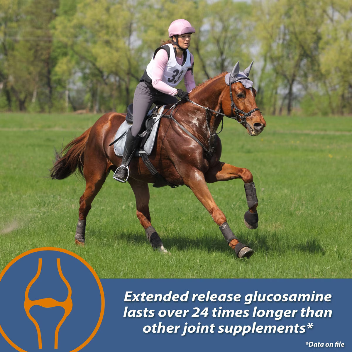 Farnam MaxFlex XR Extended Release Horse Joint Supplement 30 Day Supply
